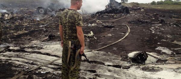 An armed man stands at the site of a Malaysia Airlines Boeing 777 plane crash in the settlement of Grabovo in the Donetsk region, in this July 17, 2014 file picture An armed man stands at the site of a Malaysia Airlines Boeing 777 plane crash in the settlement of Grabovo in the Donetsk region, in this July 17, 2014 file picture - Sputnik International