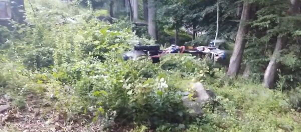 Drone gun - Sputnik International