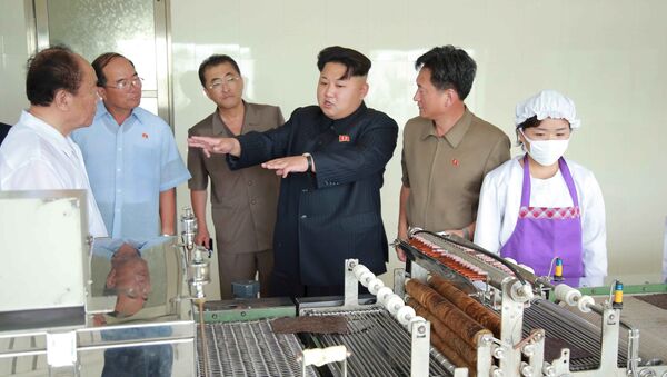 North Korean leader Kim Jong Un visits the Pyongyang Taegyong Laver Processing Factory, in this undated photo released by North Korea's Korean Central News Agency (KCNA) in Pyongyang on July 11, 2015 - Sputnik International