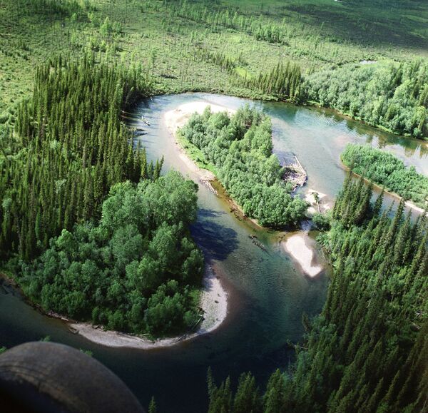 Taiga landscape in East Siberia Taiga landscape in East Siberia - Sputnik International