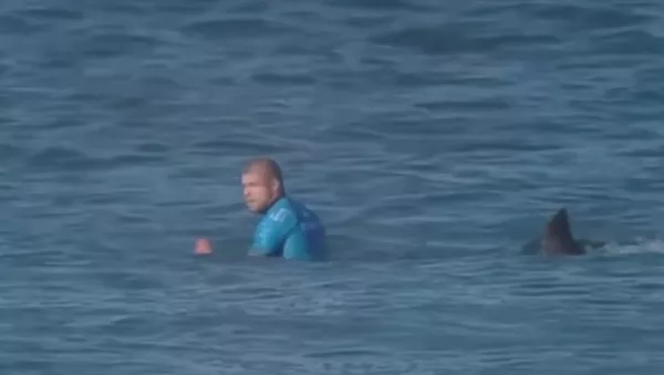 Shark Attacks Professional Surfer - Sputnik International