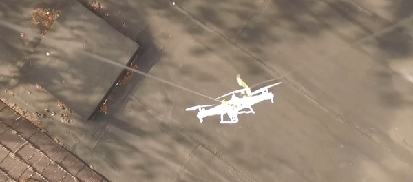 Drone Rescue Drone Rescue - Sputnik International