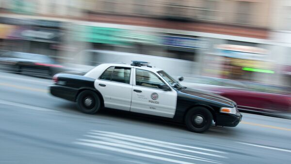 A police car in Los Angeles - Sputnik International