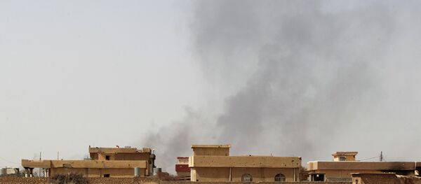 Smoke rises from the town of Baiji, north of Tikrit - Sputnik International