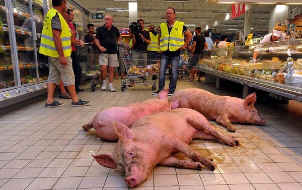 Out of the blue, three rather dirty pigs disturbed the peace in a supermarket in the French city of Agen. - Sputnik International