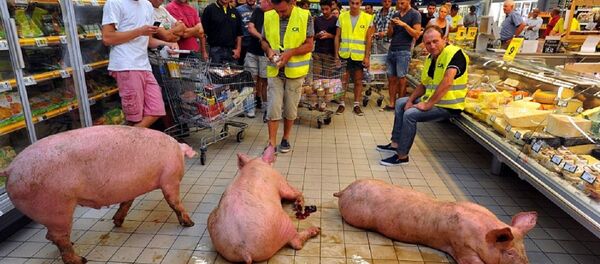 Out of the blue, three rather dirty pigs disturbed the peace in a supermarket in the French city of Agen. Out of the blue, three rather dirty pigs disturbed the peace in a supermarket in the French city of Agen. - Sputnik International