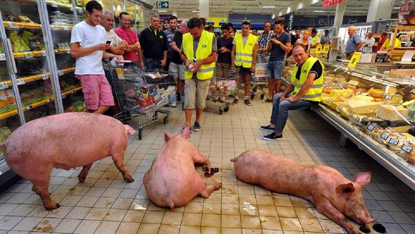 Out of the blue, three rather dirty pigs disturbed the peace in a supermarket in the French city of Agen. - Sputnik International