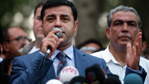 Co-chairman of the pro-Kurdish Peoples' Democracy Party Selahattin Demirtas speaks in Suruc, Turkey, Tuesday, July 21, 2015 - Sputnik International