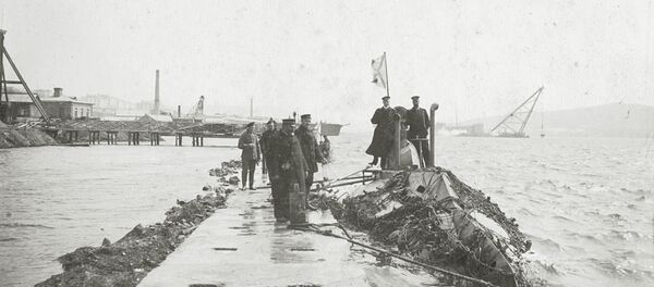 Som (Сatfish) submarine Som (Сatfish) submarine - Sputnik International