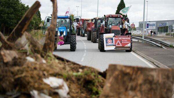 Farmers block the road with tractors, on one of which a placard reads 'Farmers in distress, more prices, less regulation', as they protest near the Lactalis dairy factory during a demonstration against the low sales prices of their production, on July 27, 2015 in Laval, western France - Sputnik International