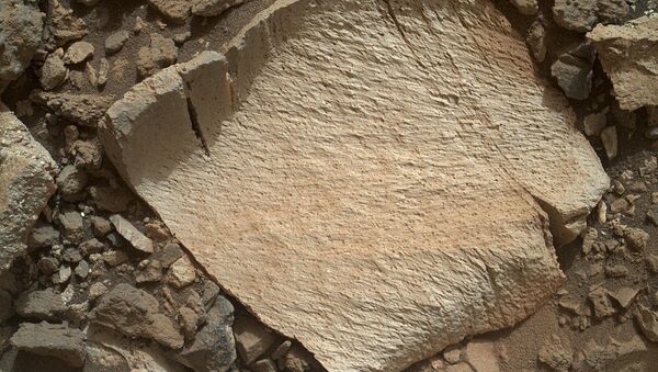 NASA's Curiosity rover photographed this rock fragment, dubbed Lamoose, on Mars. - Sputnik International