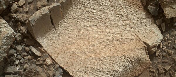 NASA's Curiosity rover photographed this rock fragment, dubbed Lamoose, on Mars. NASA's Curiosity rover photographed this rock fragment, dubbed Lamoose, on Mars. - Sputnik International