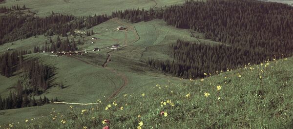 A village in Bukovina A village in Bukovina - Sputnik International