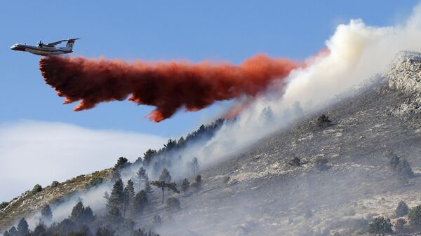 Самолет тушит лесной пожар на юге французской провинции Сен-Валье-де-Тье в Ницце - Sputnik International