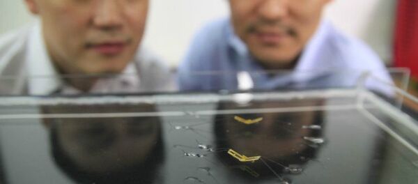 Scientists at Seoul National University examine their robot's extreme form of locomotion Scientists at Seoul National University examine their robot's extreme form of locomotion - Sputnik International