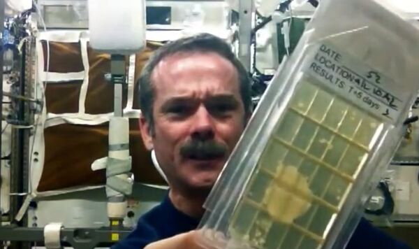 Hadfield demonstrates Microbial Air Sampling on the ISS Hadfield demonstrates Microbial Air Sampling on the ISS - Sputnik International