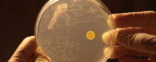 Once a spaceship is in orbit, astronauts sample the air and surfaces to check for microbes; despite passing through the atmosphere, some still remain. - Sputnik International