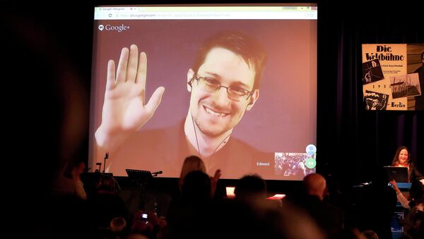 Former National Security Agency, NSA contractor and whistleblower Edward Snowden follows the 2014 Carl von Ossietzky Medal award ceremony by the International League for Human Rights via live video transmission in Berlin, Germany, Sunday Dec. 14,2014 - Sputnik International