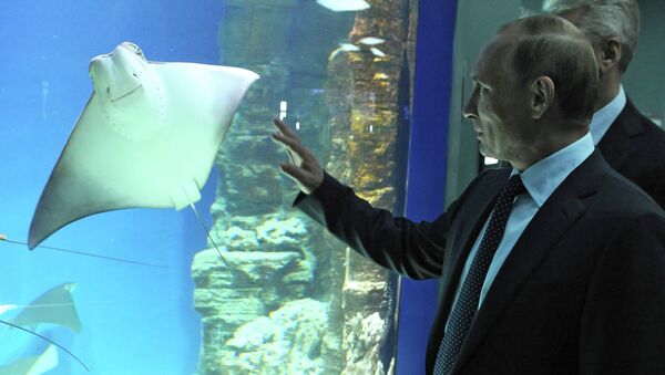 Russian President Vladimir Putin visits center of oceanography and marine biology Moskvarium - Sputnik International