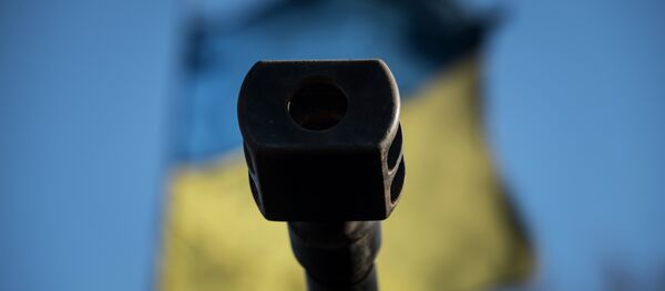 A Ukrainian flag is seen behind a canon near the village of Luhanske, eastern Ukraine, Feb. 24, 2015 - Sputnik International