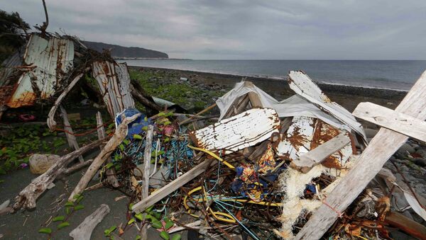 Debris that has washed onto the Jamaique beach in Saint-Denis is seen on the shoreline of French Indian Ocean island of La Reunion, August 3, 2015 - Sputnik International