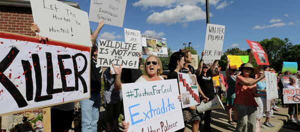 Florida Vacation Home Belonging to Lion Killer Dentist Attacked By Vandals  (PHOTOS) - Sputnik International