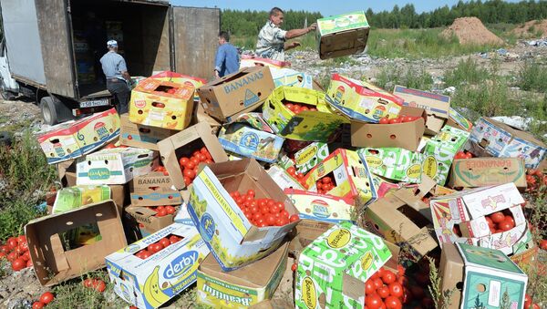 Banned tomatoes confiscated at the Russia-Belarus border are destroyed at the landfill near Gusino, Smolensk Region - Sputnik International