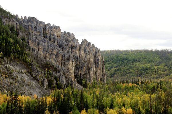 The Lenskie Stolby Nature Park in Yakutia - Sputnik International