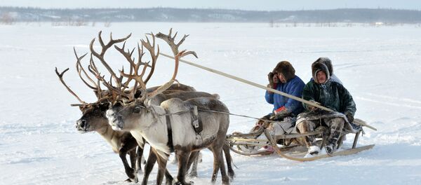 Reindeer Herder's Day near Yamal Peninsula (northwest Siberia) Reindeer Herder's Day near Yamal Peninsula (northwest Siberia) - Sputnik International