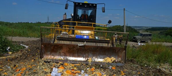 Elimination of sanctions products in Russia Elimination of sanctions products in Russia - Sputnik International