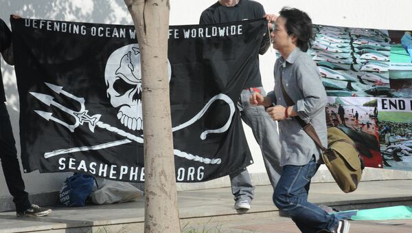 Anti-whaling militants protest on June 21, 2010 outside the venue of International Whaling Commission (IWC) meeting in Agadir - Sputnik International