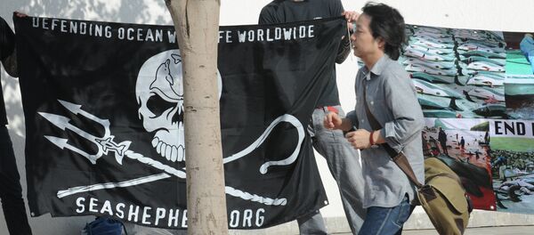 Anti-whaling militants protest on June 21, 2010 outside the venue of International Whaling Commission (IWC) meeting in Agadir Anti-whaling militants protest on June 21, 2010 outside the venue of International Whaling Commission (IWC) meeting in Agadir - Sputnik International