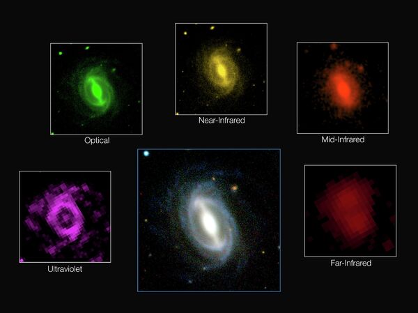 This composite picture shows how a typical galaxy appears at different wavelengths in the GAMA survey. This composite picture shows how a typical galaxy appears at different wavelengths in the GAMA survey. - Sputnik International