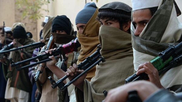 Afghan Taliban fighters. File photo - Sputnik International