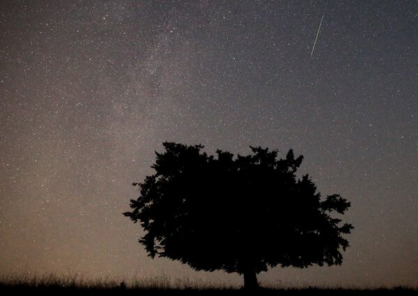 Wish Upon a Star: Perseid Meteor Shower 2015 - Sputnik International