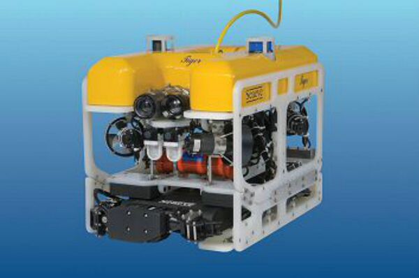 Tiger - Sputnik International