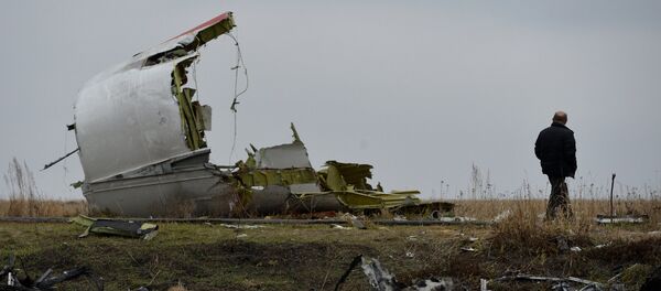 Dutch experts on Malaysian Boeing crash site Dutch experts on Malaysian Boeing crash site - Sputnik International