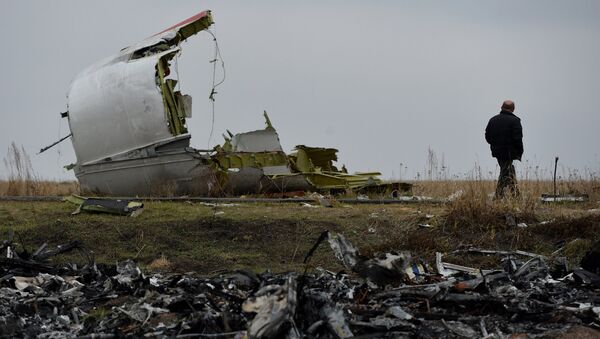 Dutch experts on Malaysian Boeing crash site - Sputnik International
