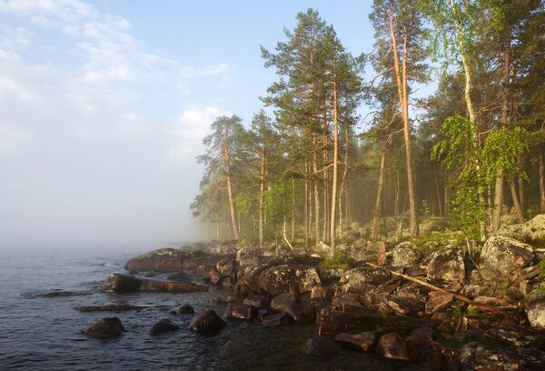 Dawn over Lake Onega in the Republic of Karelia, Russia. Dawn over Lake Onega in the Republic of Karelia, Russia. - Sputnik International