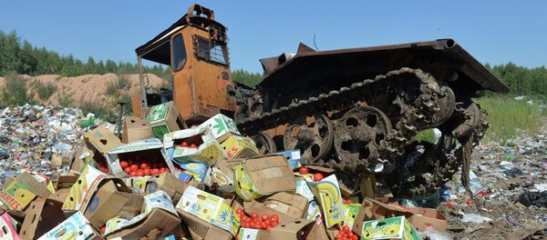 A group of lawmakers from the Communist fraction of Russia's lower house of parliament has introduced a bill aimed at redistributing foodstuffs confiscated under Russia's food embargo to those in need, and as humanitarian aid to conflict zones, the body's press service announced on Thursday. A group of lawmakers from the Communist fraction of Russia's lower house of parliament has introduced a bill aimed at redistributing foodstuffs confiscated under Russia's food embargo to those in need, and as humanitarian aid to conflict zones, the body's press service announced on Thursday. - Sputnik International