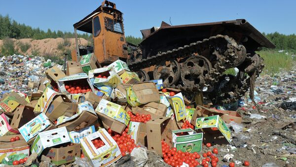 Eliminating tomatoes confiscated at the Russian-Belarusian border, at a consumer waste field near the village of Gusin in the Smolensk Region - Sputnik International