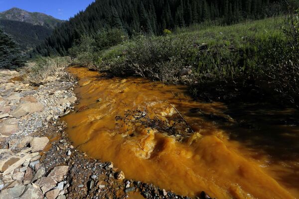 Generating Electricity from Wastewater: Russian Chemists Put Microbes to Work - Sputnik International