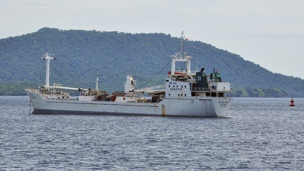 Thai-owned cargo ship Silver Sea 2 is anchored off an Indonesian Navy base in Sabang, Aceh province, Indonesia. - Sputnik International