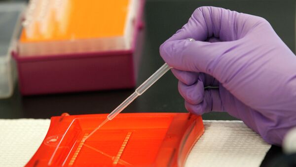 An associate scientist with InnoGenomics Technologies, works with DNA samples in their laboratory - Sputnik International