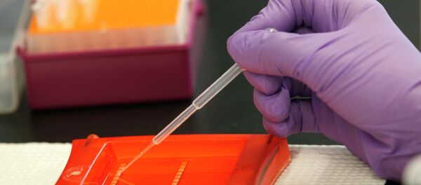 An associate scientist with InnoGenomics Technologies, works with DNA samples in their laboratory An associate scientist with InnoGenomics Technologies, works with DNA samples in their laboratory - Sputnik International