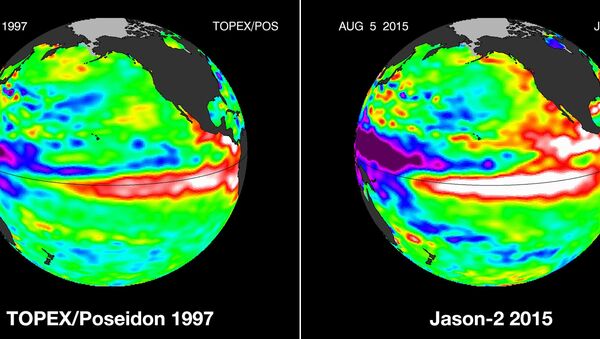These false-color images provided by NASA satellites compare warm Pacific Ocean water temperatures from the strong El Nino that brought North America large amounts of rainfall in 1997, left, and the current El Nino as of Aug. 5, 2015, right. - Sputnik International