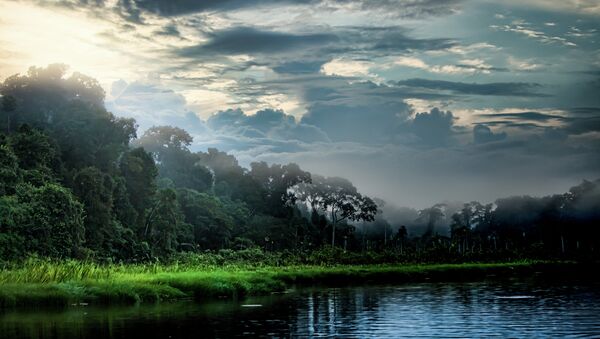 Lake Sunrise on the Tambopata River in the Peruvian Amazon. - Sputnik International