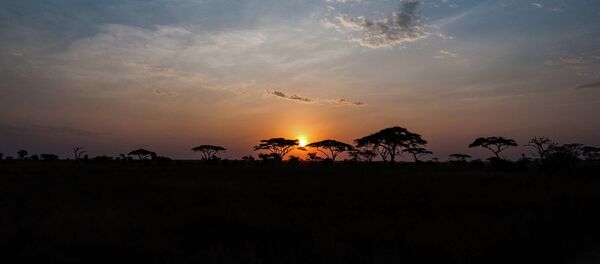 Serengeti sunrise - Sputnik International