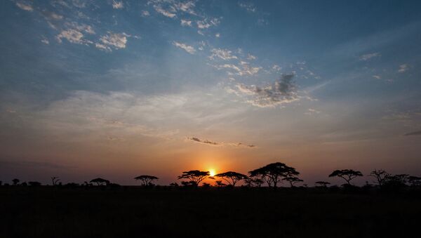 Serengeti sunrise - Sputnik International