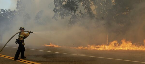 A firefighter sprays a hose at a fire burning along Morgan Valley Road near Lower Lake, Calif A firefighter sprays a hose at a fire burning along Morgan Valley Road near Lower Lake, Calif - Sputnik International